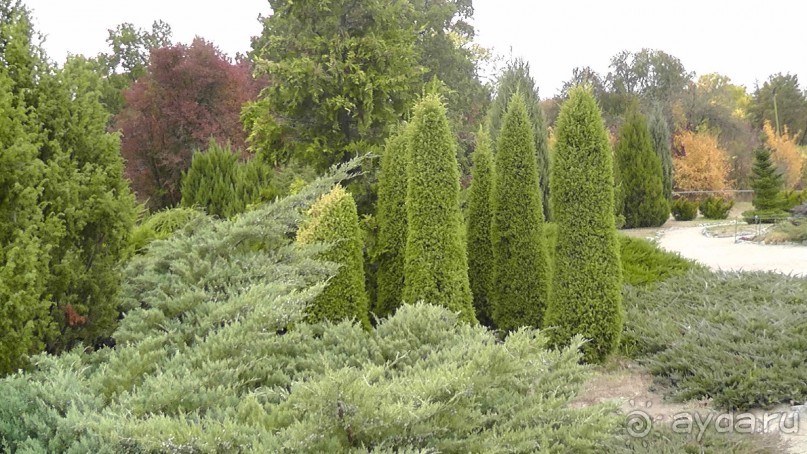 Альбом отзыва "Парк "Александрия" и г. Белая Церковь. Часть I"