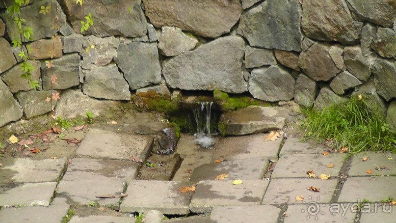 Альбом отзыва "Парк "Александрия" и г. Белая Церковь. Часть I"