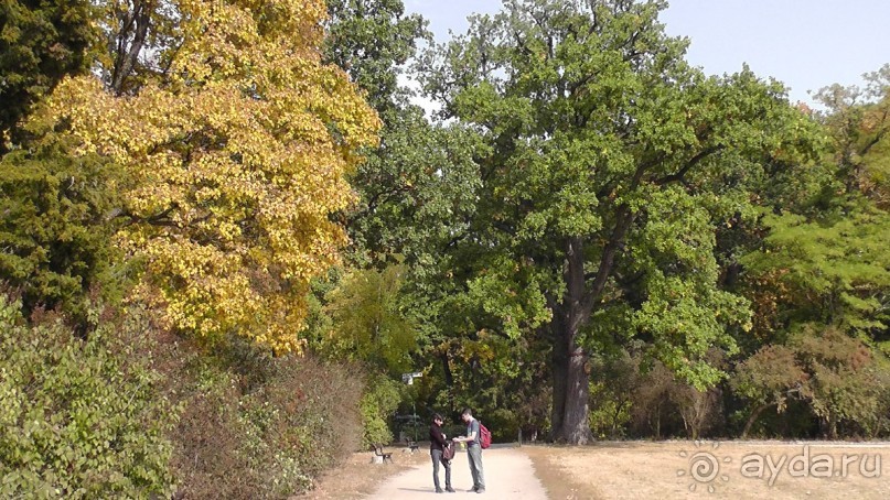 Альбом отзыва "Парк "Александрия" и г. Белая Церковь. Часть I"