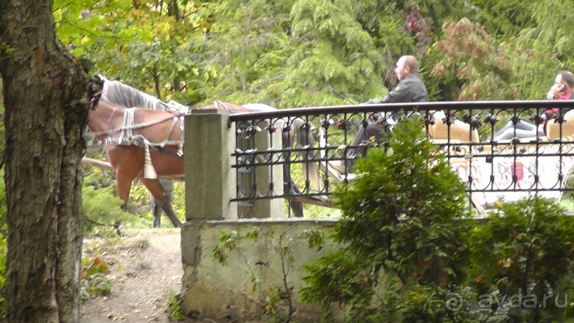 Альбом отзыва "Парк "Александрия" и г. Белая Церковь. Часть I"