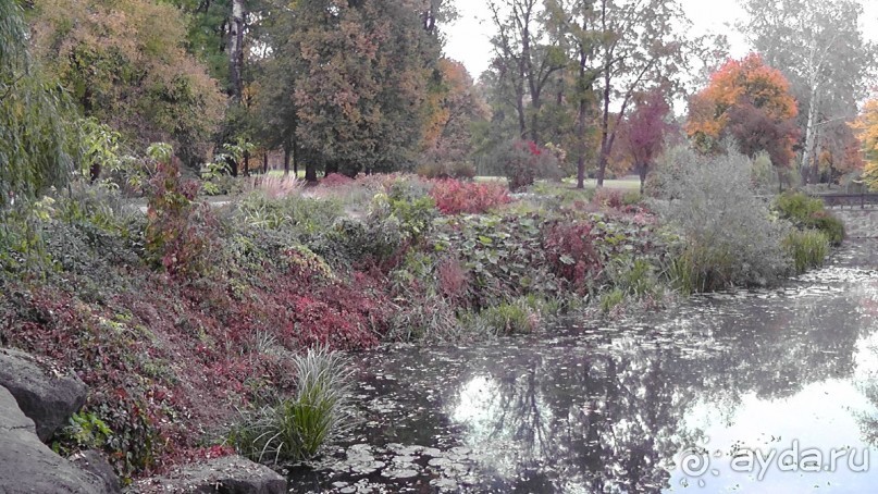Альбом отзыва "Парк "Александрия" и г. Белая Церковь. Часть I"