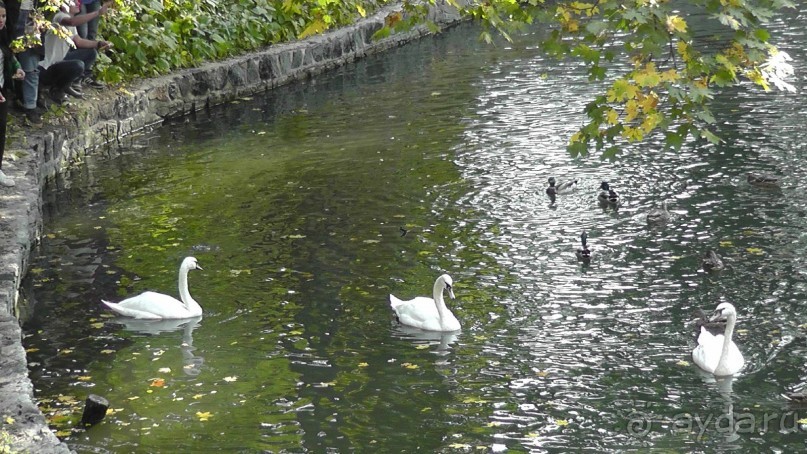 Альбом отзыва "Парк "Александрия" и г. Белая Церковь. Часть I"