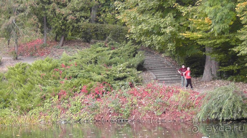 Альбом отзыва "Парк "Александрия" и г. Белая Церковь. Часть I"