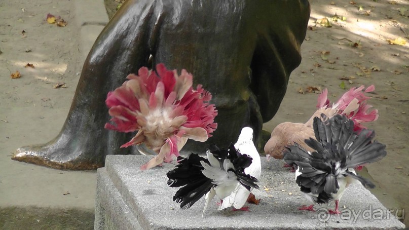 Парк "Александрия" и г. Белая Церковь. Часть I