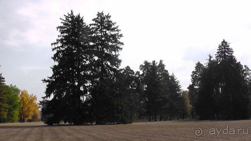 Альбом отзыва "Парк "Александрия" и г. Белая Церковь. Часть I"