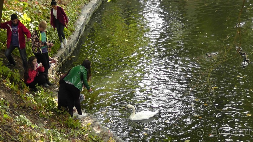 Альбом отзыва "Парк "Александрия" и г. Белая Церковь. Часть I"