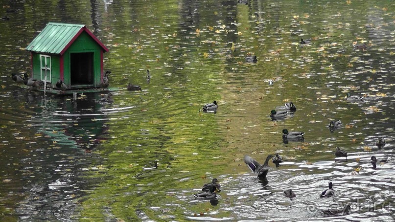 Альбом отзыва "Парк "Александрия" и г. Белая Церковь. Часть I"