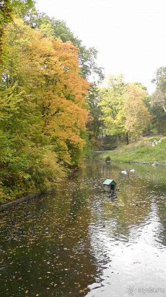 Альбом отзыва "Парк "Александрия" и г. Белая Церковь. Часть I"