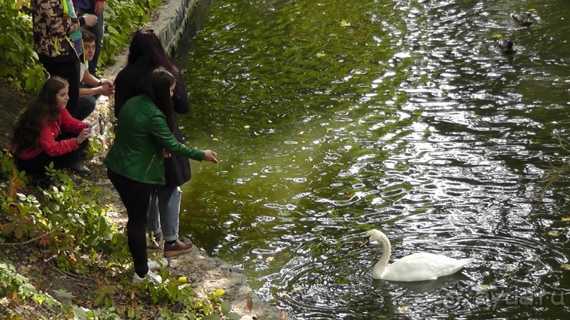 Альбом отзыва "Парк "Александрия" и г. Белая Церковь. Часть I"