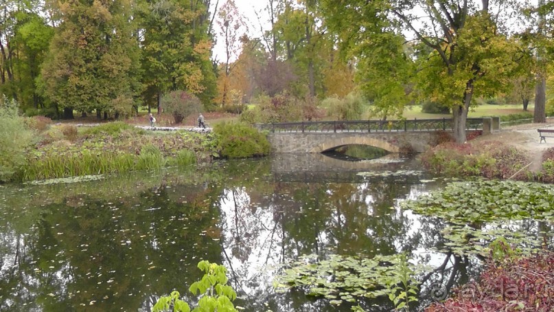 Альбом отзыва "Парк "Александрия" и г. Белая Церковь. Часть I"
