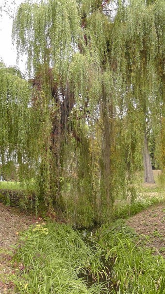 Парк "Александрия" и г. Белая Церковь. Часть I