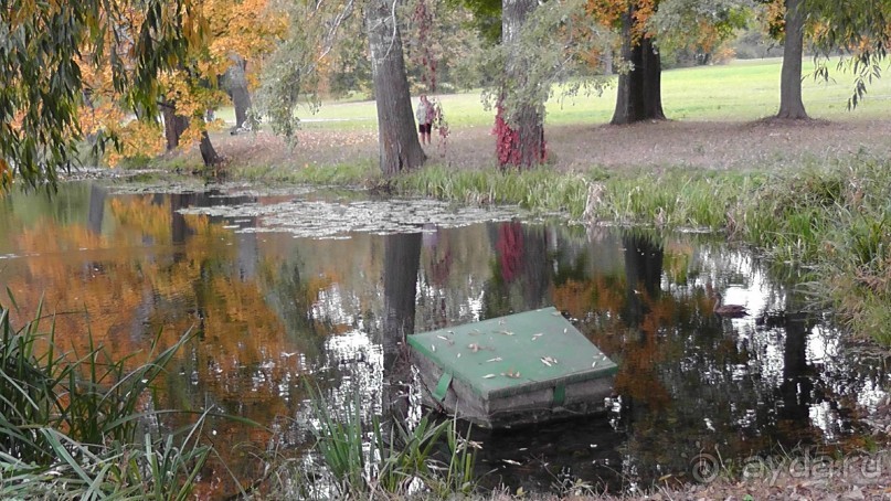 Альбом отзыва "Парк "Александрия" и г. Белая Церковь. Часть I"