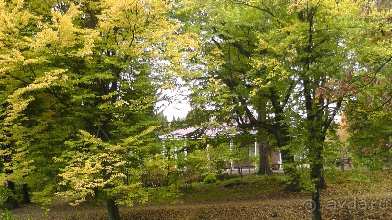 Альбом отзыва "Парк "Александрия" и г. Белая Церковь. Часть I"