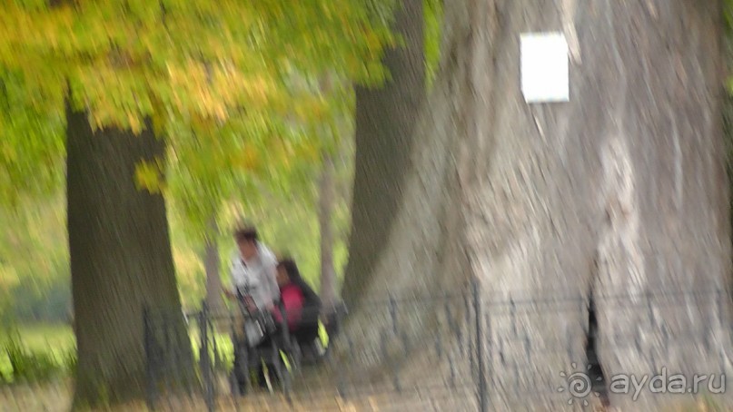 Альбом отзыва "Парк "Александрия" и г. Белая Церковь. Часть I"