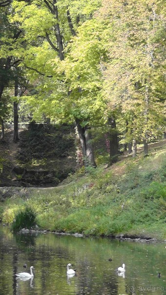 Альбом отзыва "Парк "Александрия" и г. Белая Церковь. Часть I"