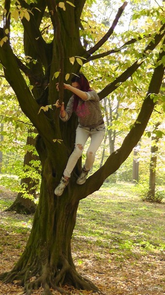 Альбом отзыва "Парк "Александрия" и г. Белая Церковь. Часть I"