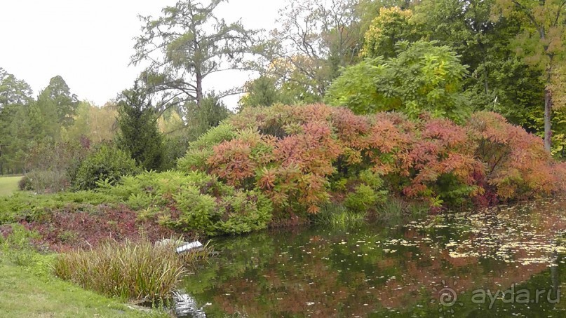 Альбом отзыва "Парк "Александрия" и г. Белая Церковь. Часть I"