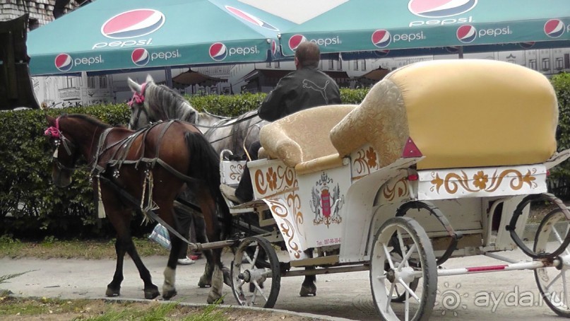 Альбом отзыва "Парк "Александрия" и г. Белая Церковь. Часть I"