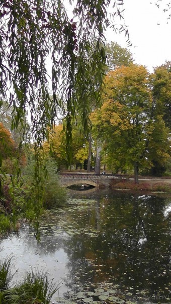 Альбом отзыва "Парк "Александрия" и г. Белая Церковь. Часть I"