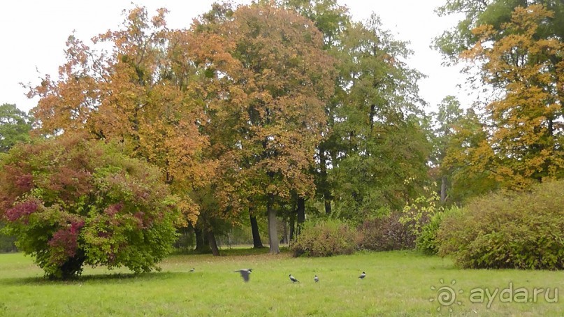 Альбом отзыва "Парк "Александрия" и г. Белая Церковь. Часть I"