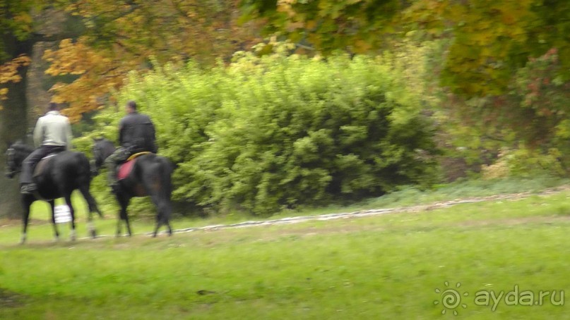Альбом отзыва "Парк "Александрия" и г. Белая Церковь. Часть I"