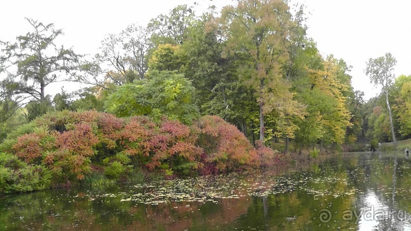 Альбом отзыва "Парк "Александрия" и г. Белая Церковь. Часть I"