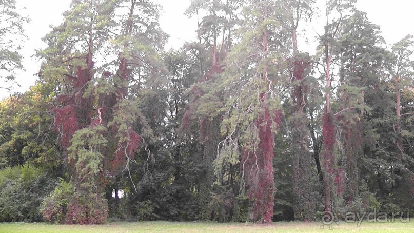 Альбом отзыва "Парк "Александрия" и г. Белая Церковь. Часть I"
