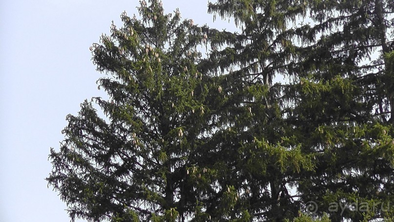 Парк "Александрия" и г. Белая Церковь. Часть I