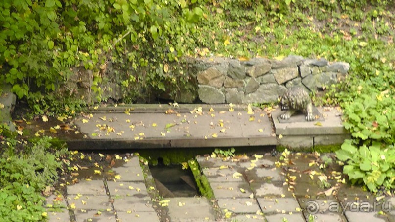 Альбом отзыва "Парк "Александрия" и г. Белая Церковь. Часть I"