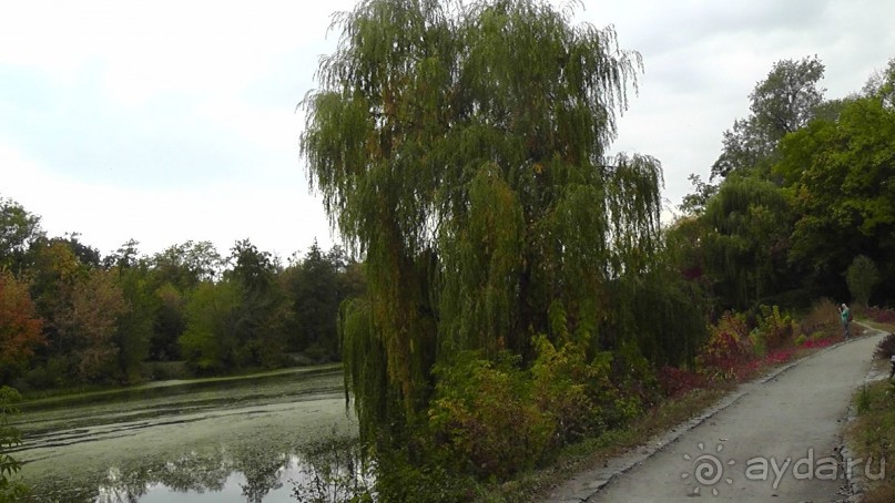 Альбом отзыва "Парк "Александрия" и г. Белая Церковь. Часть I"