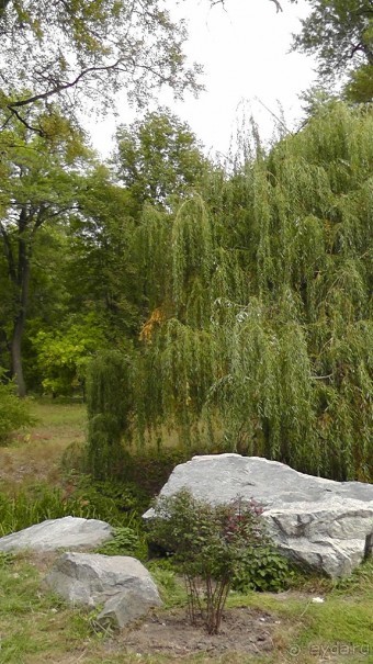 Альбом отзыва "Парк "Александрия" и г. Белая Церковь. Часть I"