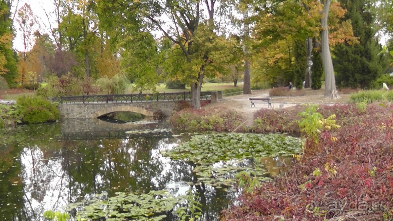 Альбом отзыва "Парк "Александрия" и г. Белая Церковь. Часть I"