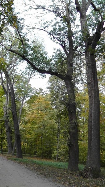 Альбом отзыва "Парк "Александрия" и г. Белая Церковь. Часть I"