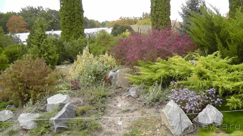 Альбом отзыва "Парк "Александрия" и г. Белая Церковь. Часть I"