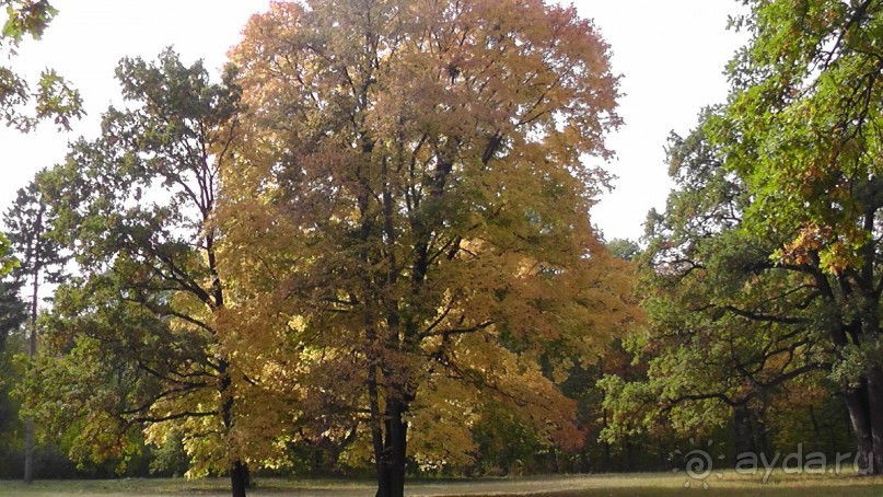 Альбом отзыва "Парк "Александрия" и г. Белая Церковь. Часть I"