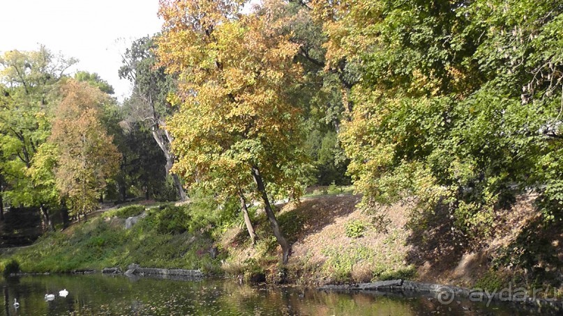 Альбом отзыва "Парк "Александрия" и г. Белая Церковь. Часть I"