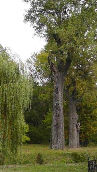 Альбом отзыва "Парк "Александрия" и г. Белая Церковь. Часть I"