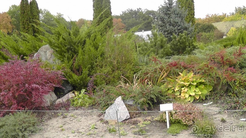 Альбом отзыва "Парк "Александрия" и г. Белая Церковь. Часть I"