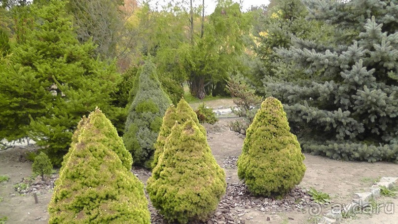 Альбом отзыва "Парк "Александрия" и г. Белая Церковь. Часть I"