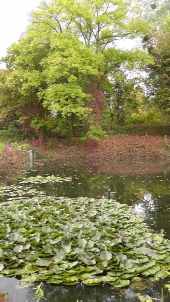 Альбом отзыва "Парк "Александрия" и г. Белая Церковь. Часть I"