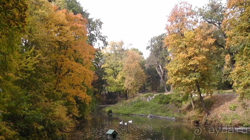 Альбом отзыва "Парк "Александрия" и г. Белая Церковь. Часть I"