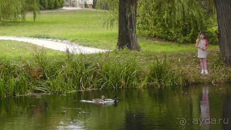 Альбом отзыва "Парк "Александрия" и г. Белая Церковь. Часть I"