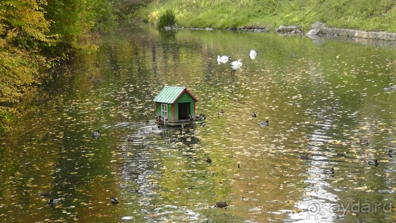 Альбом отзыва "Парк "Александрия" и г. Белая Церковь. Часть I"