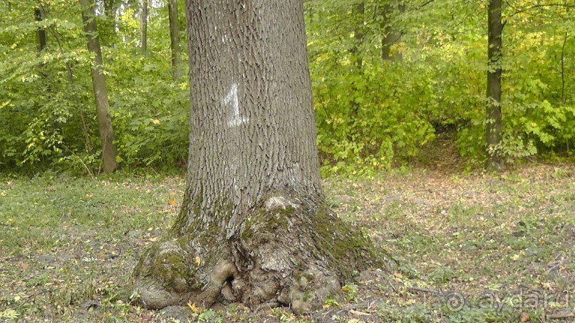 Альбом отзыва "Парк "Александрия" и г. Белая Церковь. Часть I"