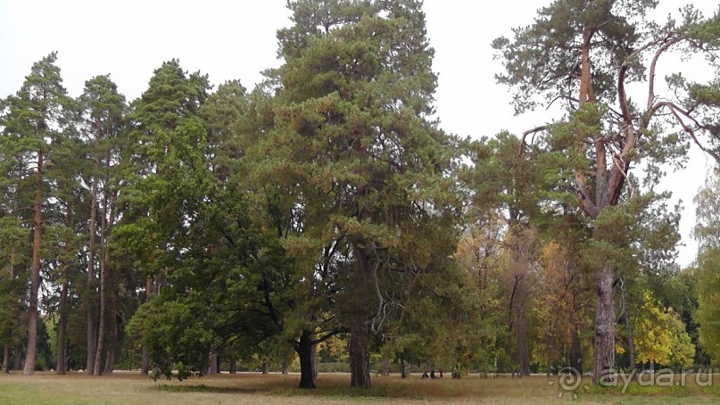 Альбом отзыва "Парк "Александрия" и г. Белая Церковь. Часть I"
