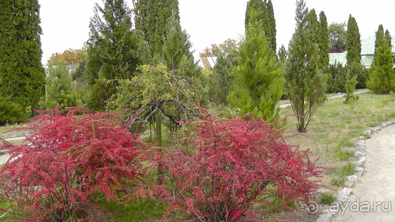 Альбом отзыва "Парк "Александрия" и г. Белая Церковь. Часть I"