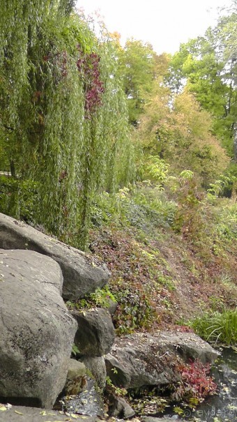 Альбом отзыва "Парк "Александрия" и г. Белая Церковь. Часть I"