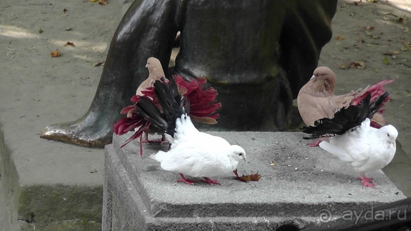 Альбом отзыва "Парк "Александрия" и г. Белая Церковь. Часть I"