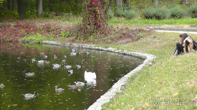 Альбом отзыва "Парк "Александрия" и г. Белая Церковь. Часть I"