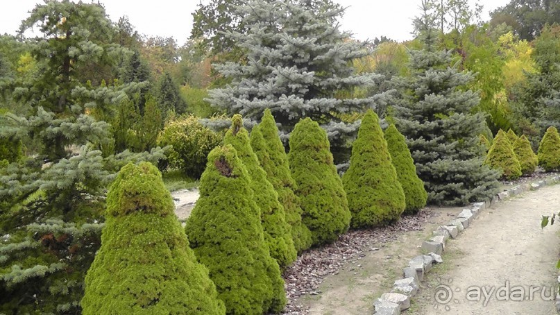 Альбом отзыва "Парк "Александрия" и г. Белая Церковь. Часть I"